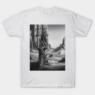 Baldur's Gate beautiful scenery T-Shirt